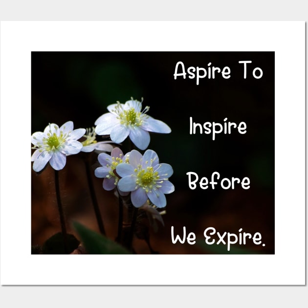 Aspire To Inspire Before We Expire. Wall Art Poster Mug Pin Phone Case Case Mask Sticker Magnet Tapestries Flower Art Motivational Quote Home Decor Totes Wall Art by Narnic Dreams